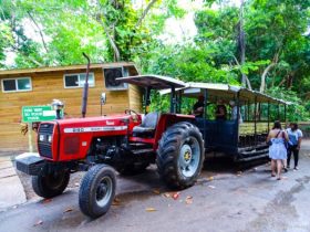 Yaaman-Adventure-Park-tracktor