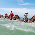 Horseback Ride and Splash Ocho Rios| Pashon Ocho Rios Tours and Transfers