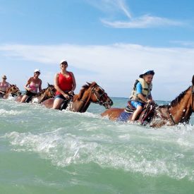 Horseback Ride and Splash Ocho Rios