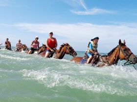 horseback_ride