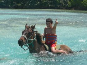 Horseback-Ride-N-Swim