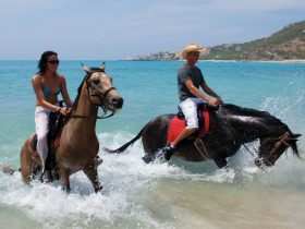 Horseback-Ride-N-Swim-sm