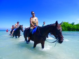 Horseback-Ride-N-Swim3