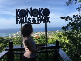 Konoko Falls