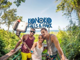 Konoko Falls-7