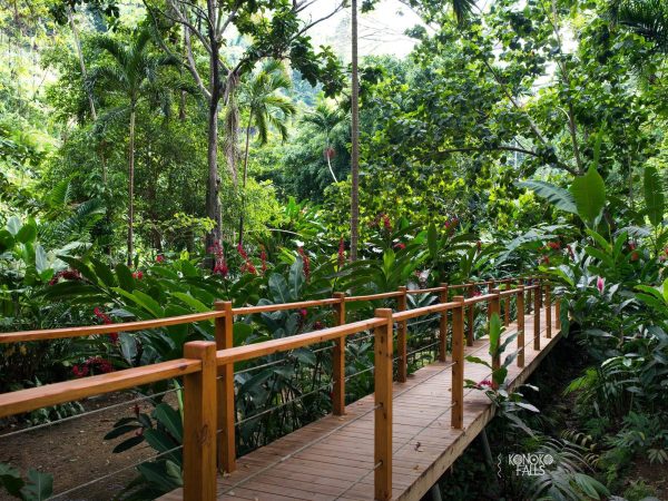 Konoko Falls-8