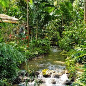 Konoko Gardens and Mahoe Falls
