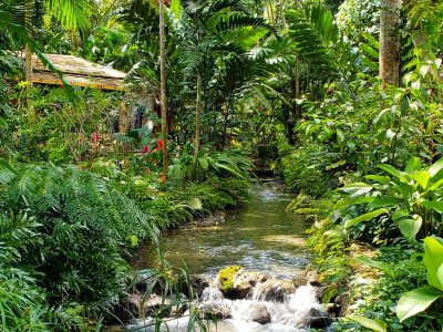 Konoko Gardens and Mahoe Falls