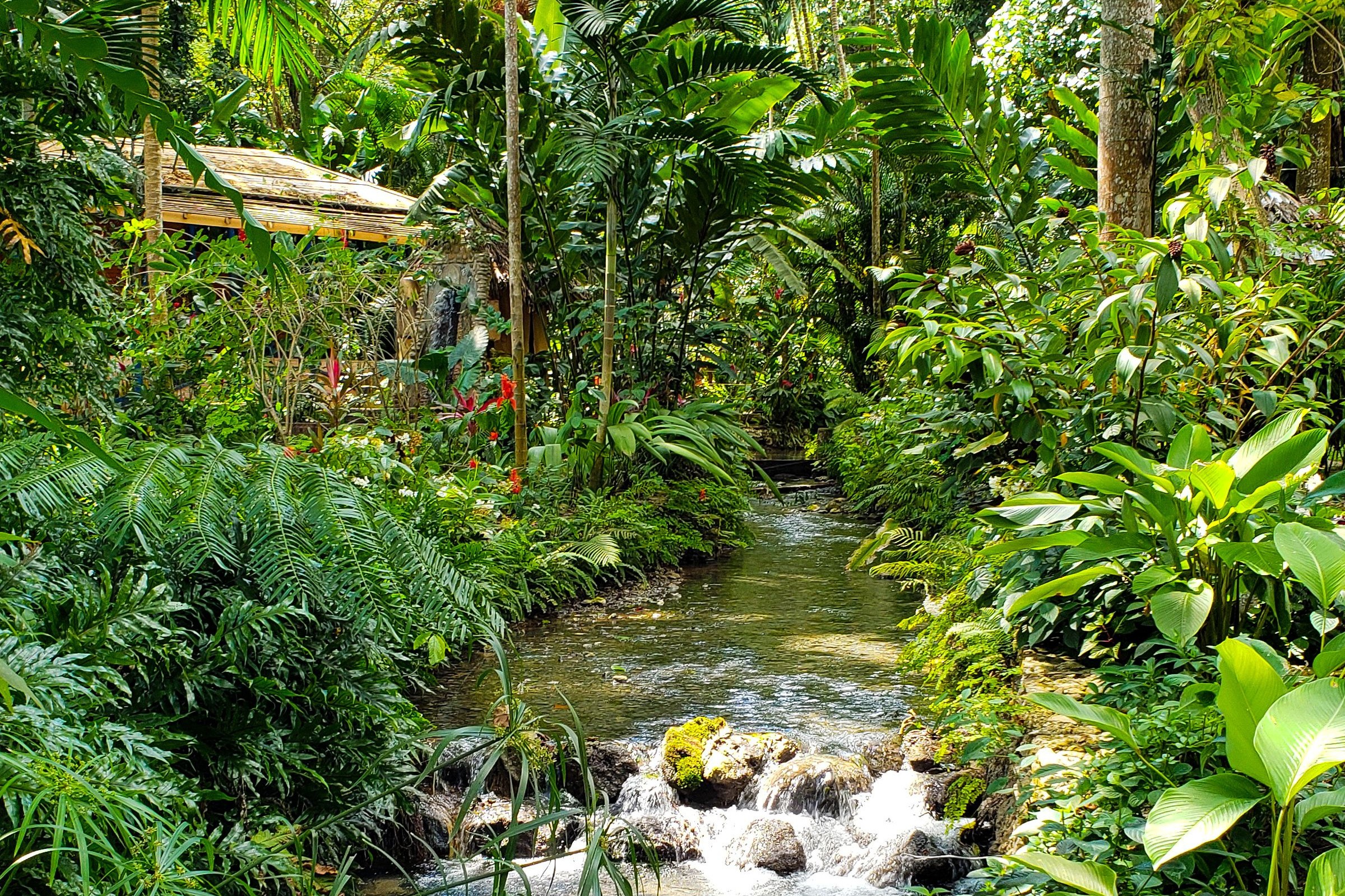 Konoko Gardens and Mahoe Falls