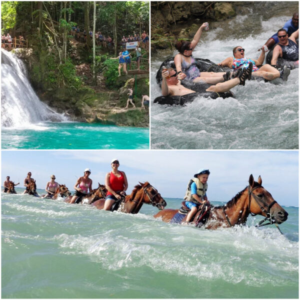 Ocho Rios Action Pack Water Excursion | Pashan Ocho Rios Tours and Transfers