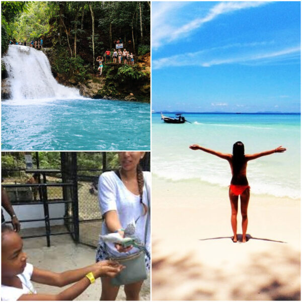Ocho Rios Splash, Learn and Chill | Pashon Ocho Rios Tours and Transfers