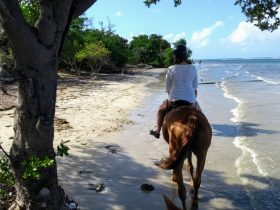 beach-riding