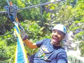 Zipline DRF