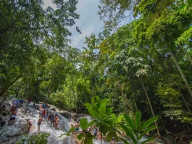 Zipline DRF