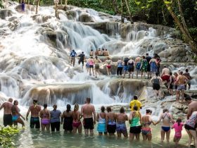 dunn-s-river-falls