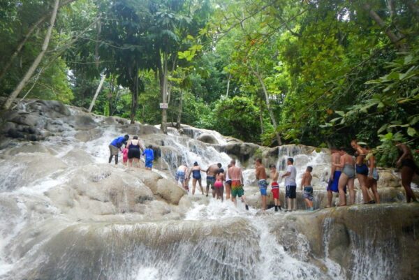 Dunns River Falls Zipline | Pashon Ocho Rios Tours and Transfers