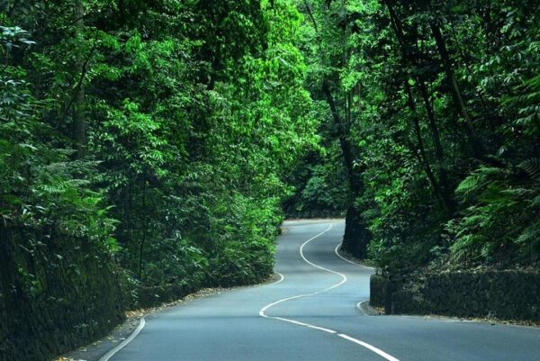 Ocho Rios Highlight | Pashon Ocho Rios Tours and Transfers