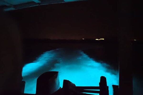 Luminous Lagoon | Pashon Ocho Rios Tours and Transfers