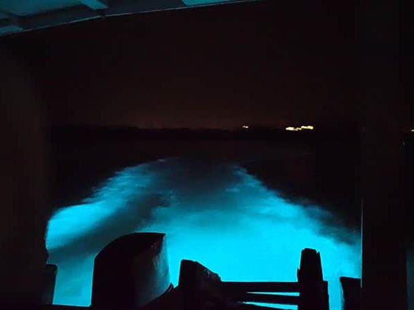 glistening-waters-luminous-lagoon-3