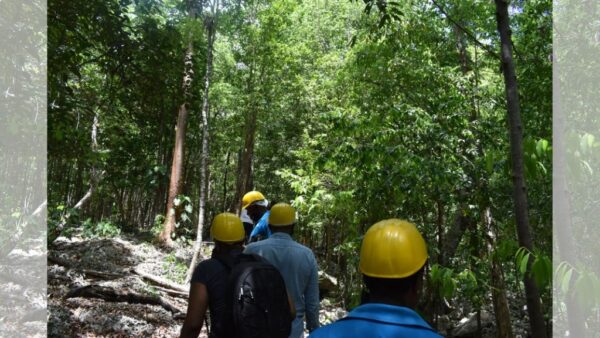 Green Grotto Caves | Pashon Ocho Rios Tours and Transfers