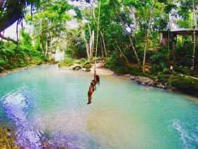 isandgullyfalls