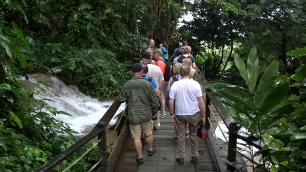 Konoko Gardens and Mahoe Falls| Pashon Ocho Rios Tours and Transfers