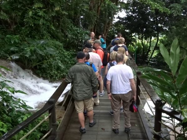 konoko-849f68a75056a36_849f9d1-5056-a36a-078b56d24041c4a0