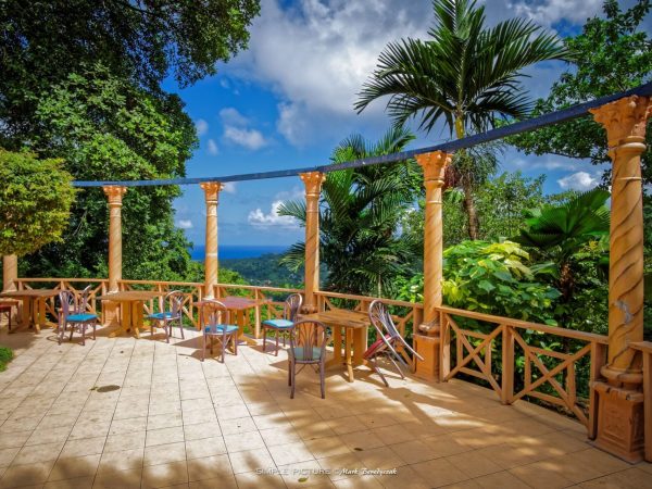 konoko-849f68a75056a36_849f9d1-5065665656-a36a-078b56d24041c4a0