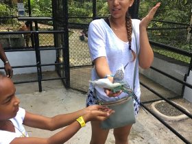 konoko-849f68a75056a36_849f9d1-56-a36a-078b56d241c4a0