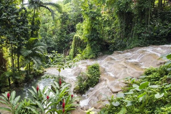 Ocho Rios Highlight | Pashon Ocho Rios Tours and Transfers