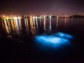 luminous-lagoon