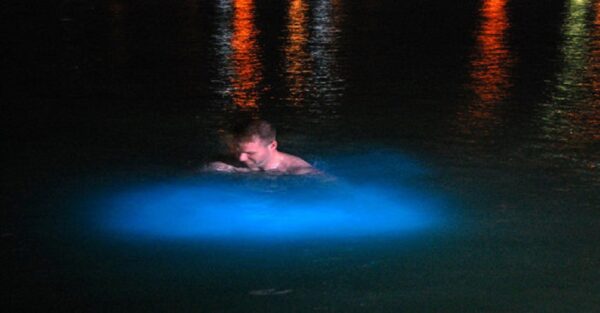 Luminous Lagoon | Pashon Ocho Rios Tours and Transfers