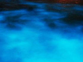 luminous-lagoon_10_5_lg
