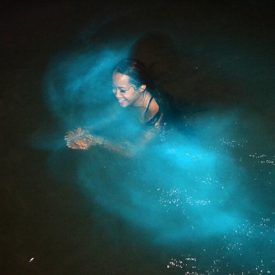 Luminous Lagoon