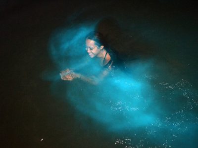 Luminous Lagoon