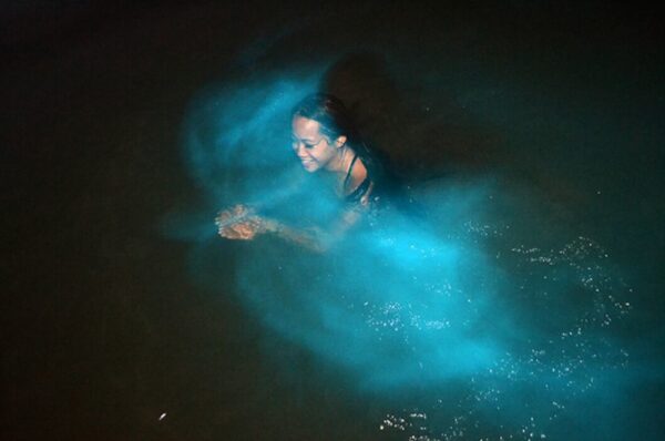 Luminous Lagoon | Pashon Ocho Rios Tours and Transfers