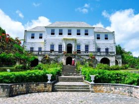 montego-bay-highlight1