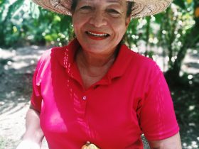 sun-valley-plantation-1