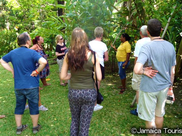 sun-valley-plantation-2