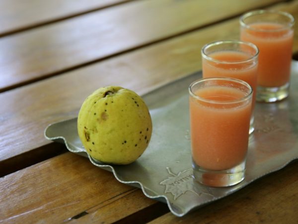 sun-valley-plantation-8