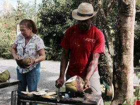 sun-valley-plantation-pashon-jamaica-lg