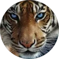 Dale L. Avatar
