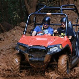 Yaaman Adventure Park