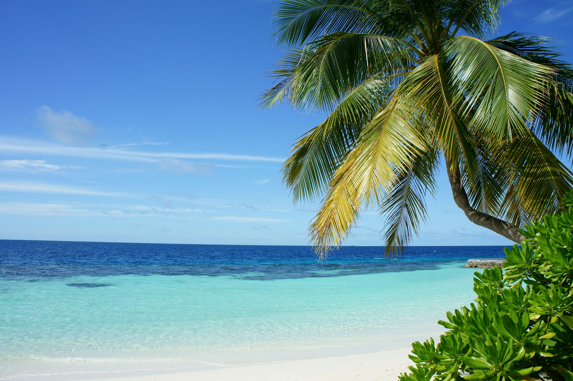 Beautiful Ocho Rios beach with clear turquoise water and palm trees