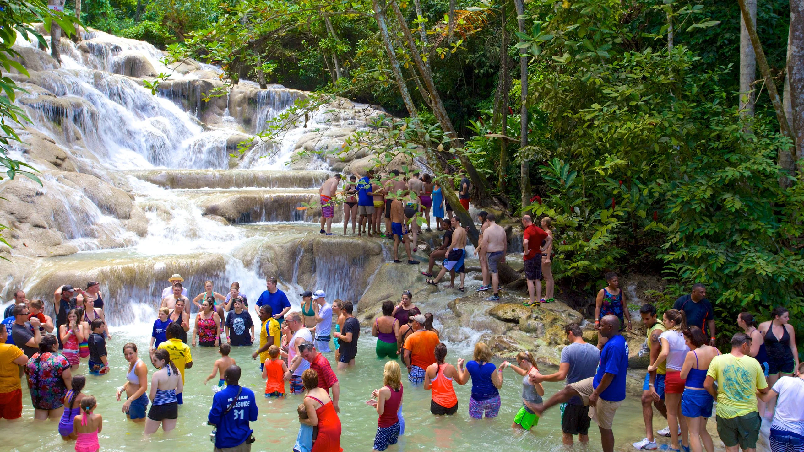 Pashon Ocho Rios tour guide with guests enjoying the view of Dunnβs River Falls